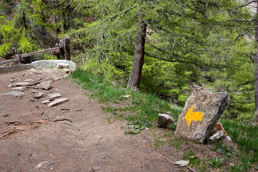 Gran Paradiso Park, Italy. Beautiful alpine mountain path close to Cogne town.