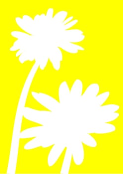 Silhouettes of daisies in white on a yellow background.