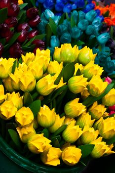 Traditional tulips made of wood in Amsterdam shop