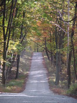 A hilly country road disappears into the fall foliage