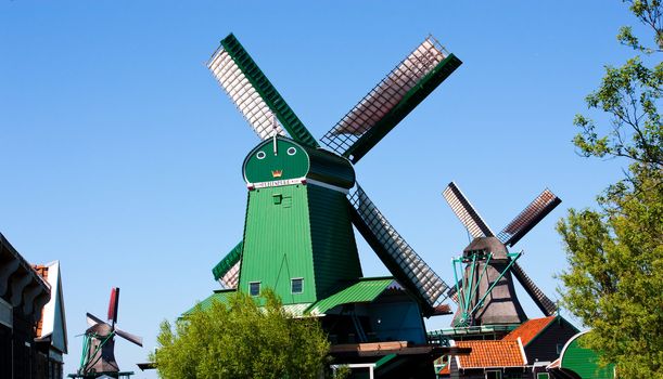 Mills in Holland, traditional and direct landmark of the country