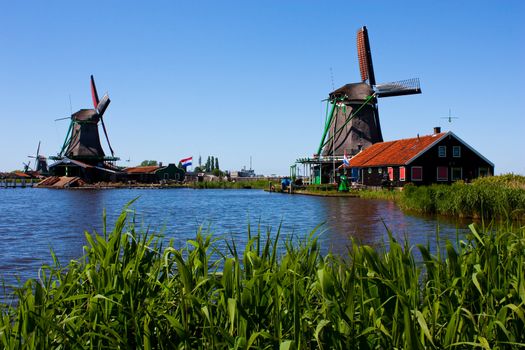 Mills in Holland, traditional and direct landmark of the country