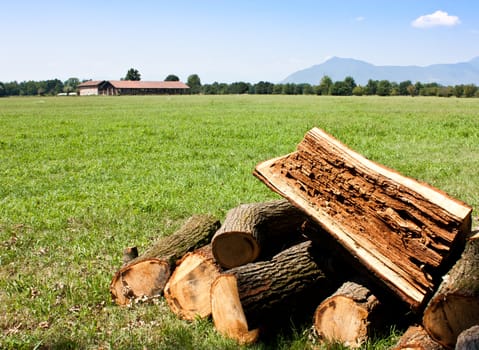 Pieces of wood with copy space, good for conceptual