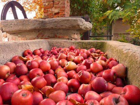 Fruits in a stone fountain