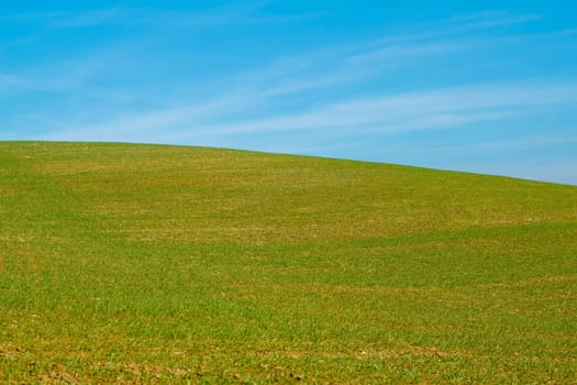 Nice autumn field with clear horizont and blue sky