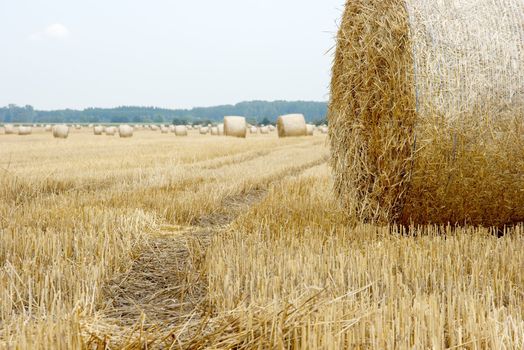 Agricultural field with many haybails