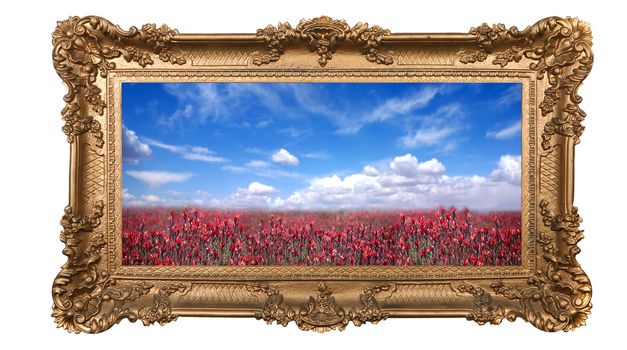 Field of Pretty Red Flowers and Beautiful Sky With High Depth of Field in a Golden Frame