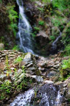 picture of a wounderful waterfall in the green forest