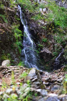 picture of a wounderful waterfall in the green forest