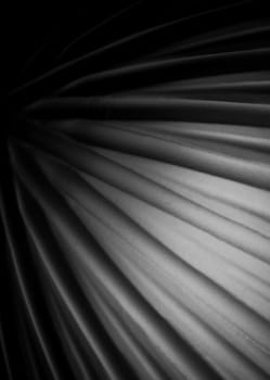 Abstract background with curved lines