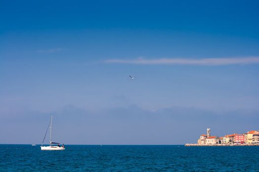 Boat leaving harbour (Piran, Slovenia)
