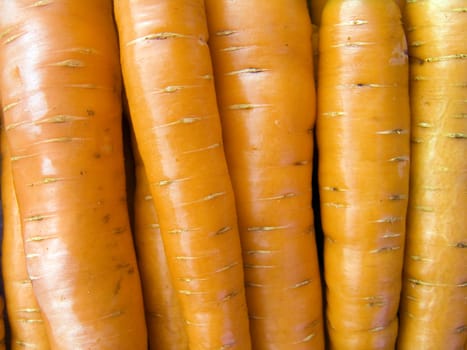 Agricultural background, a pile of beautiful carrots