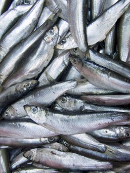 The beautiful small fishes on a counter 