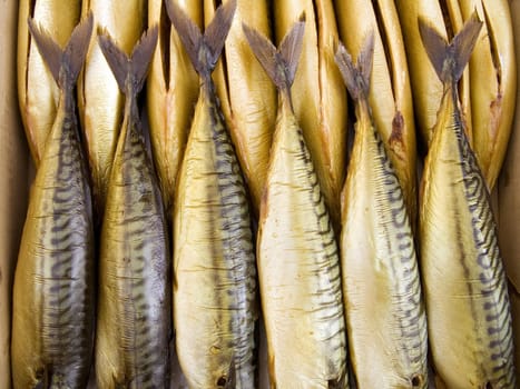 The beautiful big mackerels on a counter 