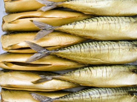 A pile of beautiful big mackerels on a counter