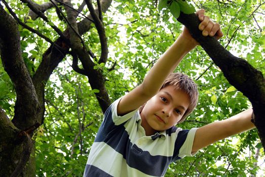 caucasian cute boy portrait on tree outdoor