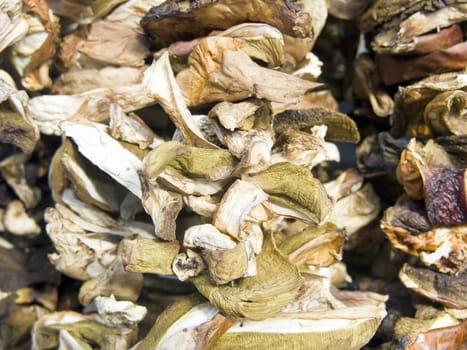 The beautiful dry mushrooms on a counter