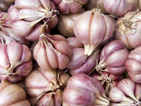 Agricultural background, a pile of beautiful garlic