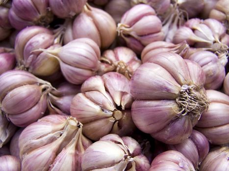 Agricultural background, a pile of beautiful garlic