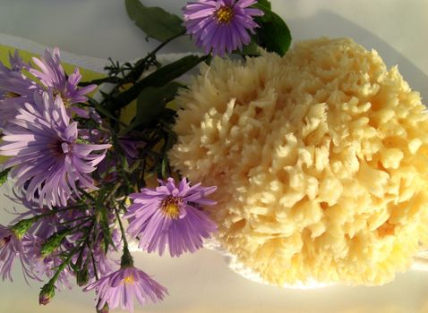 blooming herbs on a belt for massage and a natural bath sponge