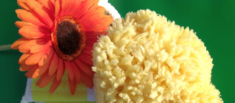 bath sponge and a flower on a yellow belt for massage, background green