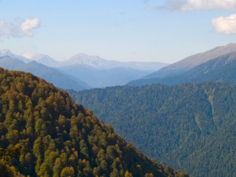 Covered by forest mountains range in a fog.