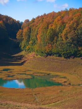 Small overgrown lake at the autumn forest