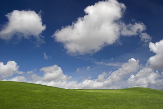 Beautiful green meadow with a great blue sky