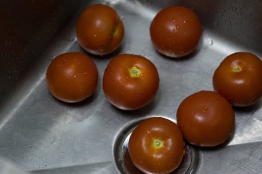 Tomatoes in Kitchen sink