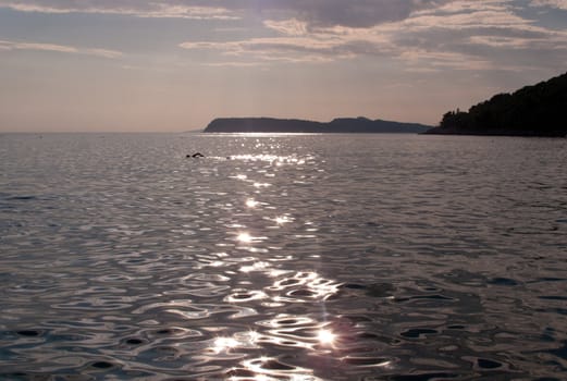 Backlit silhouette of lone swimmer in a bay with the sun shining and reflecting off the waves