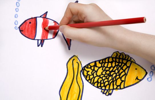 Child`s hand scetch picture. Gold fish