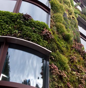 Environmental approach to reducing global warming by growing plants on side of office building