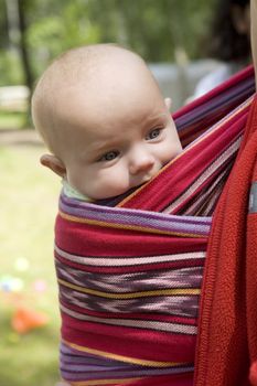 little cute girl six month old sitting in sling. Summer time