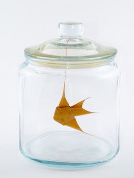 Goldenfish made of leaves in a glass jar