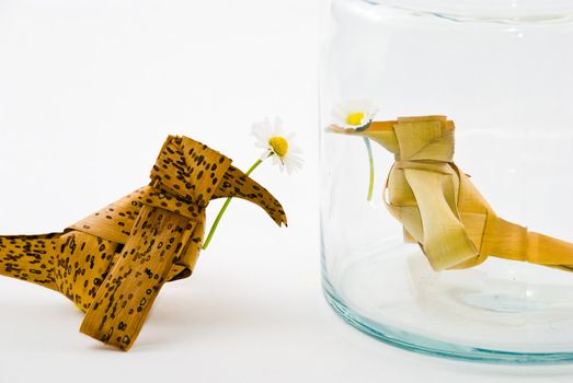 A bird is trying to give a flower to his love