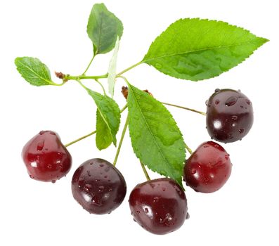 sweet cherries with leaves, isolated on white