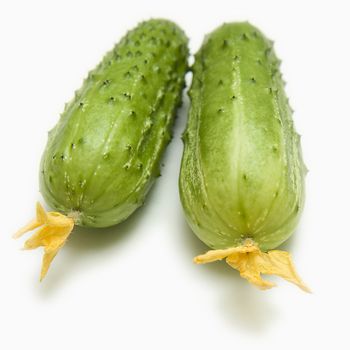 Two fresh cucumbers on a white background