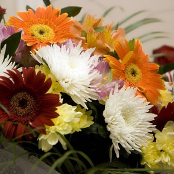 The big beautiful celebratory bouquet from flowers of different colour