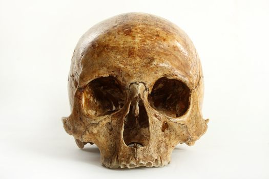 Skull of the person on a white background