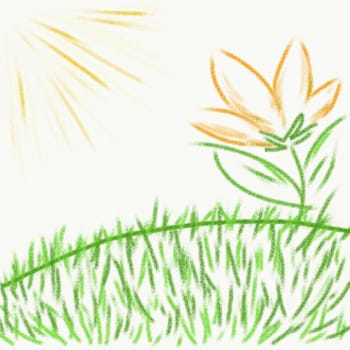 The drawn grass, the sun and flower