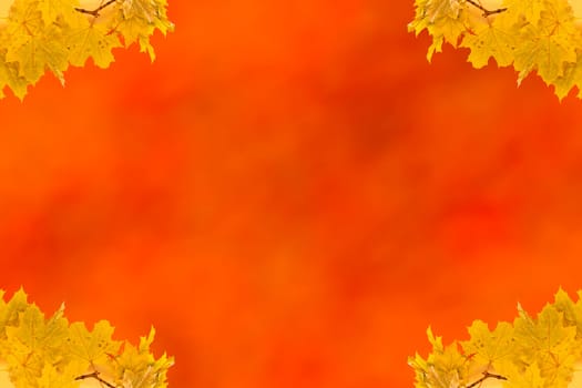 Autumn maple leaves empty frame with space for text