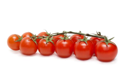 Red tomatoes cherry on green branch insulated on white background
