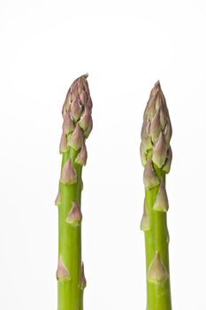 green asparagus isolated on white background