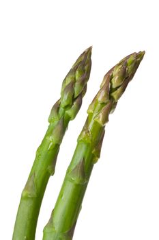 green asparagus isolated on white background