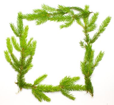 Green fresh spruce frame isolated on white
