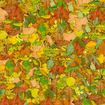 autumn leaves background