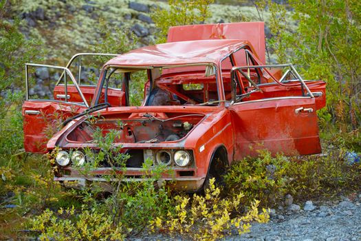 Broken in the accident and half-rotten old car