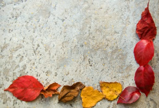 A colorful fall leaves frame on a gray stony floor