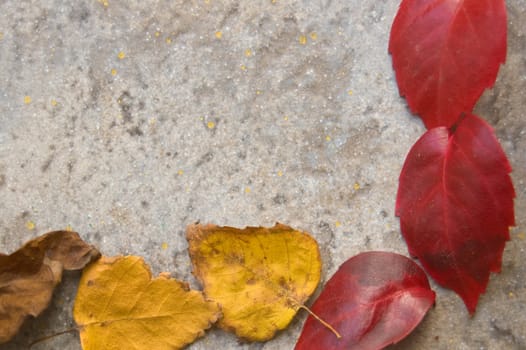 A colorful fall leaves frame on a gray stony floor