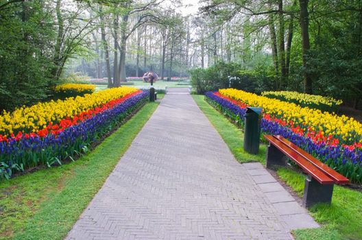 Path with spring flowers in the early morning in the park 